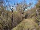 Bois de Darois (vue arrière)